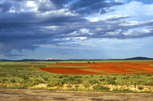 Plains of Castile