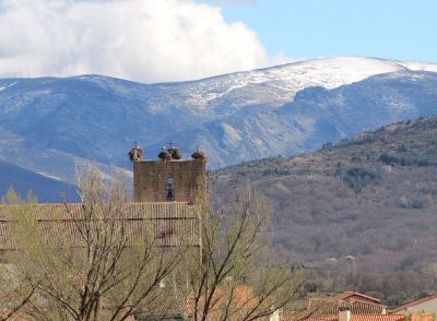 Montalegre de Campo